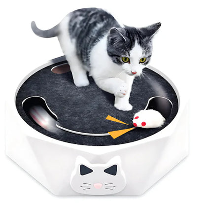 Interactive Mouse Toy for Cats